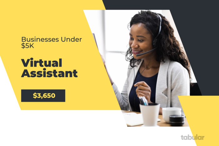 Business under 5k - virtual assistant.